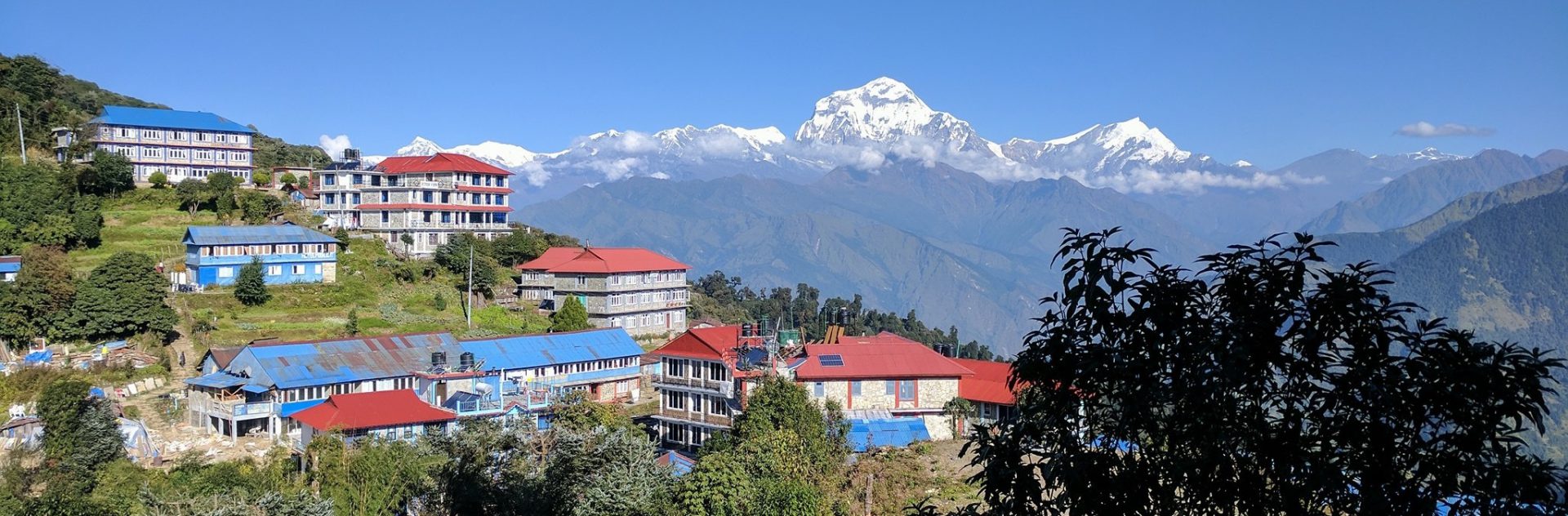 Annapurna Base Camp and  Sanctuary Trekking