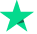 trustpilot Icon